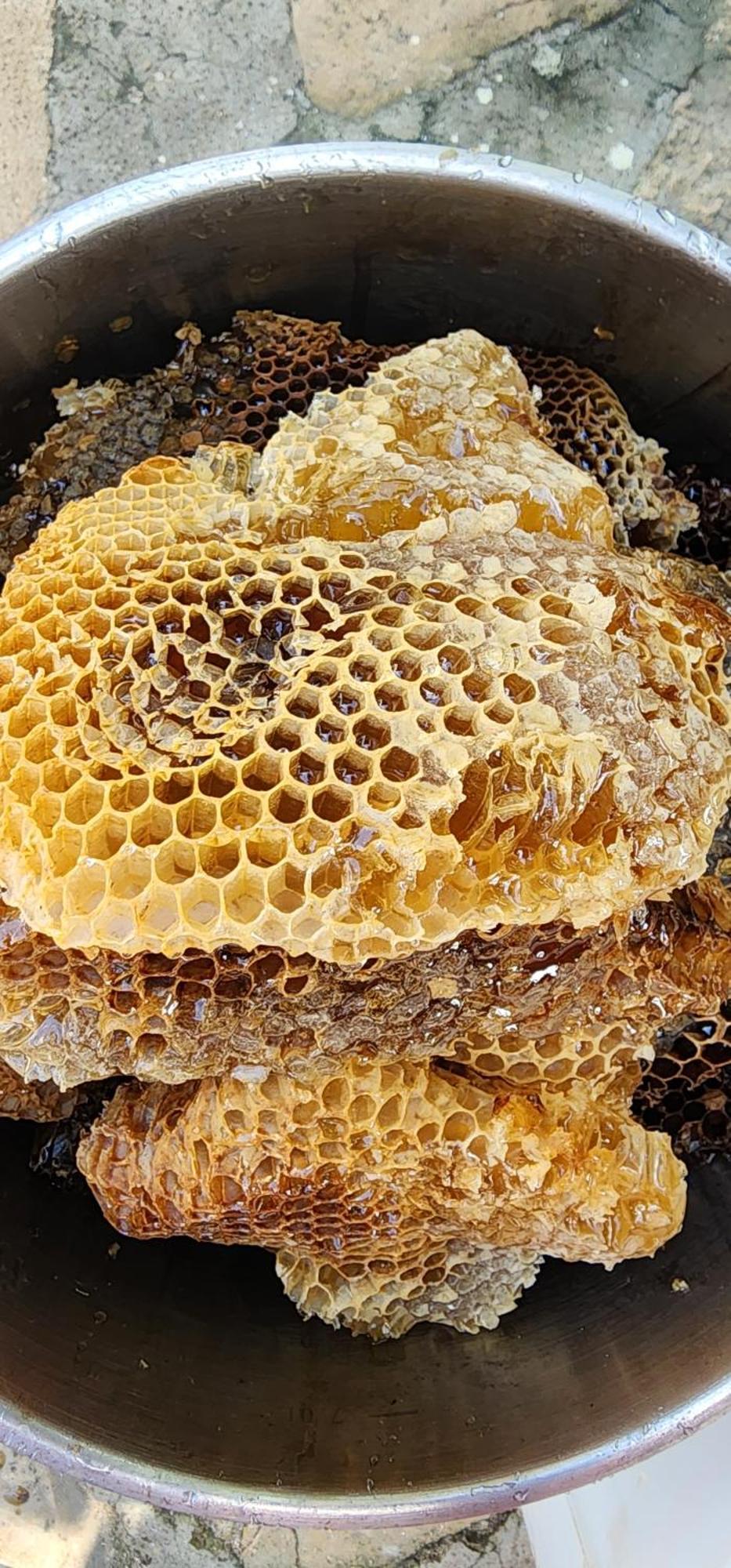 Tropic Ecolodge 푼타 루시아 외부 사진